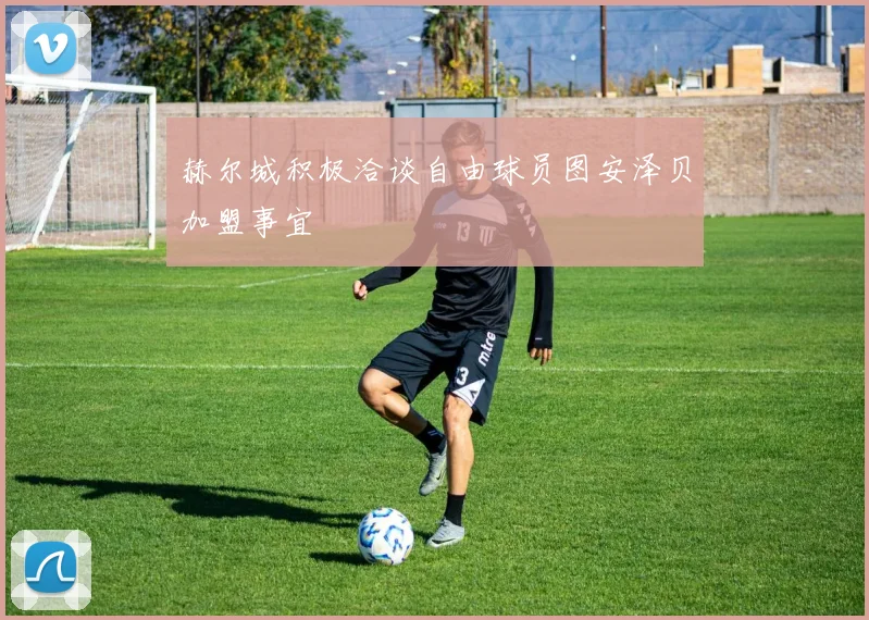 赫尔城积极洽谈自由球员图安泽贝加盟事宜